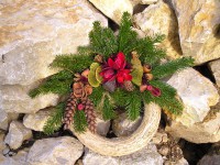 /album/fotos-advendskranze/p1010079-jpg/