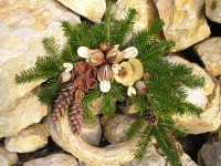 /album/fotos-advendskranze/p1010082-jpg/